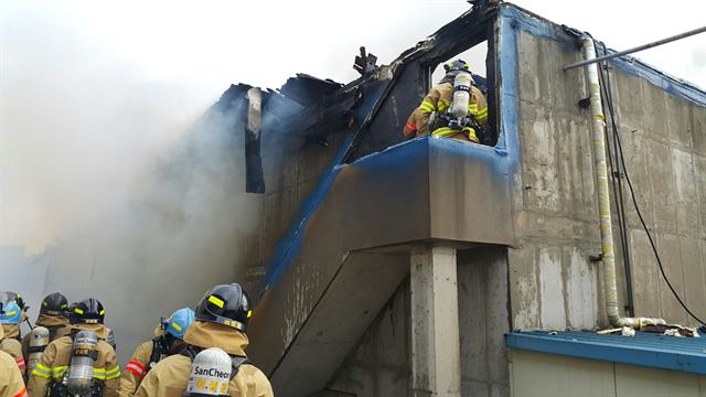 11일 오후 제주 서귀포시 한 양돈장에서 화재가 발생해 수 천 마리의 돼지가 폐사했다. 서귀포소방서 제공