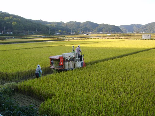 한국일보 자료 사진