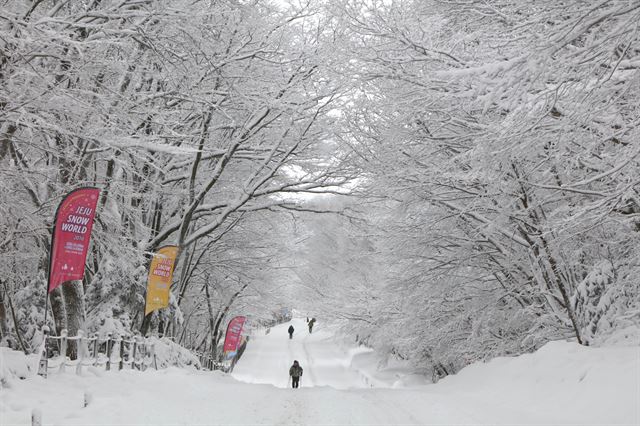 한파와 폭설이 몰아친 19일 오전 제주 한라산국립공원 어리목 코스를 찾은 탐방객들이 순백의 설산을 즐기고 있다.제주=연합뉴스