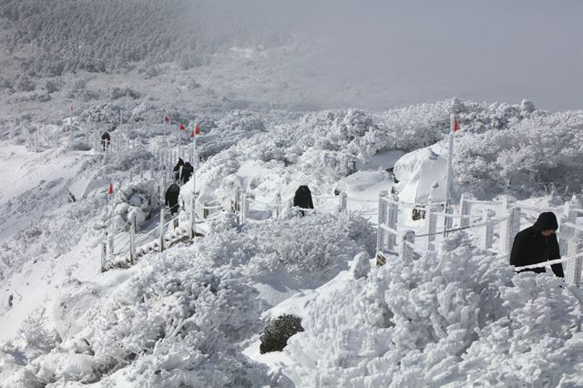 20일 탐방객들이 대설이 내려 눈꽃이 만발한 제주 한라산 영실코스를 오르며 겨울 정취를 만끽하고 있다. 제주=연합뉴스