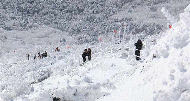 20일 탐방객들이 대설이 내려 눈꽃이 만발한 제주 한라산 영실코스를 오르며 겨울 정취를 만끽하고 있다. 제주=연합뉴스