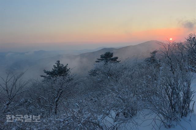 태백산 일출.