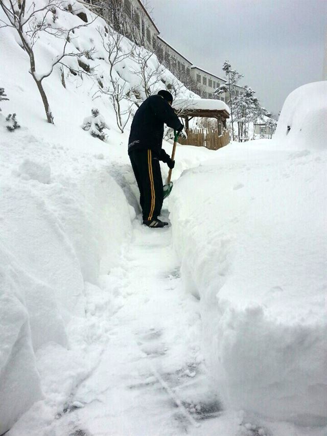 19일부터 24일까지 경북 울릉도에 100㎝의 눈이 내린 가운데 24일 울릉군 울릉읍 사동리에서 한 주민이 눈을 치우고 있다. 연합뉴스