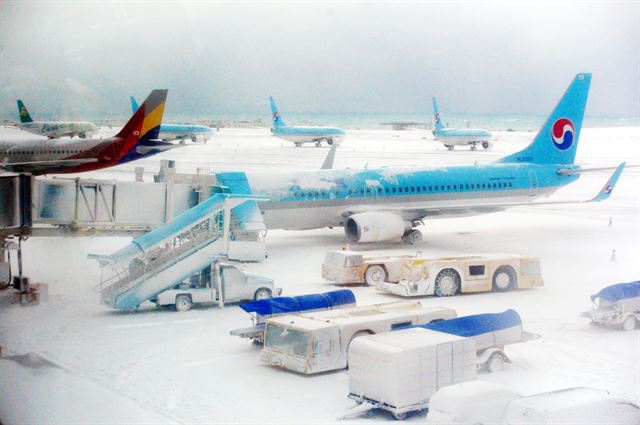 제주지역에 내린 많은 눈으로 24일 제주국제공항 활주로에 눈이 쌓여 운항을 포기한 항공기가 멈춰서 있다. 제주=뉴스1