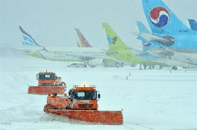 사상 초유의 제주공항 항공기 중단 사태가 3일째 이어진 25일 제주공항 활주로에서 제설작업이 이뤄지고 있다. 2016.1.25 << 한라일보 제공 >>