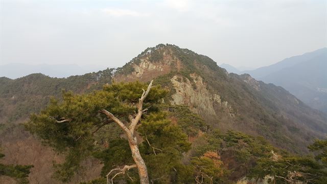 괴산 35개 명산 중 하나인 성불산 전경. 괴산군 제공