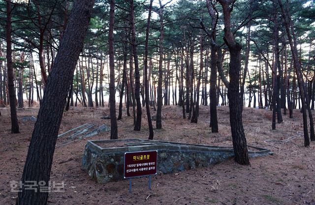 싱가포르 총리 일행이 찾은 화진포 솔숲의 미니골프장.