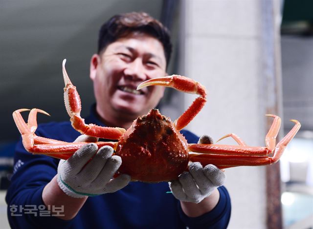 후포항 왕돌회수산 임효철 사장이 가마솥에 찐 대게를 들어 보이고 있다.