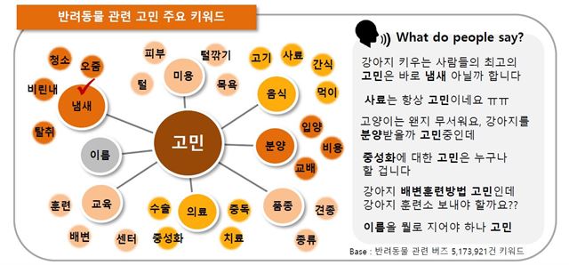 반려동물 관련 고민 주요 키워드. 버즈메트릭스