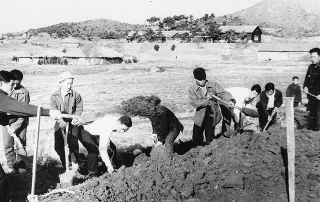 1968년 선감학원에 수용 중이던 어린이와 청소년들이 농지를 개간하고 있다. 한국일보 자료사진