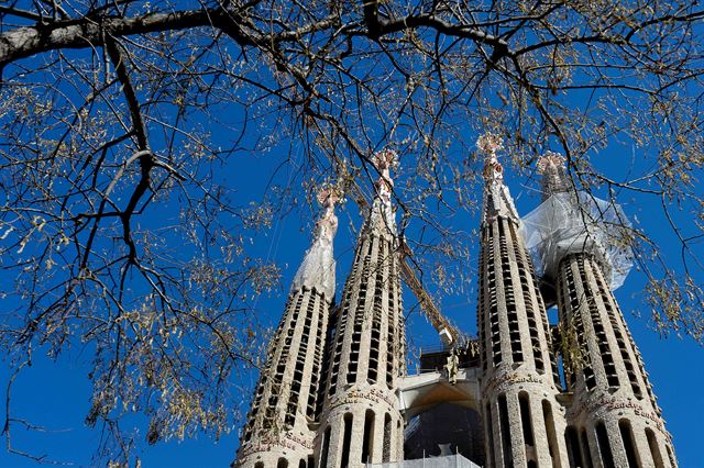 17일(현지시간) '수난의 파사드(Passion Facade)'쪽에서 바라본 파밀리아 성당의 모습. 바르셀로나=AFP 연합뉴스