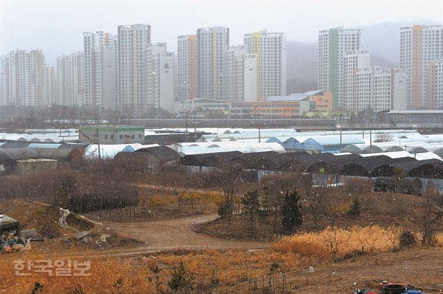 그림 216일 뉴스테이로 지정된 경기 과천시 주암동 231번지 화훼단지 모습. 신상순 선임기자ssshin@hankookilbo.com