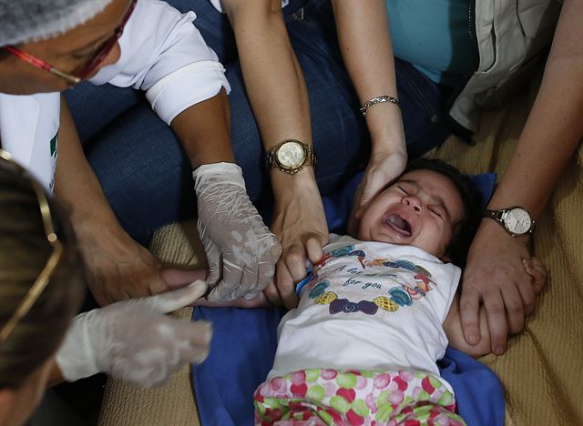 브라질 연구진과 미국 질병통제예방센터(CDC) 직원들이 24일(현지시간) 브라질 주앙페소아의 한 주택에서 태어난 지 3개월된 에스더 카밀리를 붙잡고 채혈을 하기 위해 혈관을 찾고 있다. 양국 공동 조사단은 지카 바이러스가 소두증의 원인인지를 확정하는 연구를 진행 중이다. 주앙페소아=AP 연합뉴스