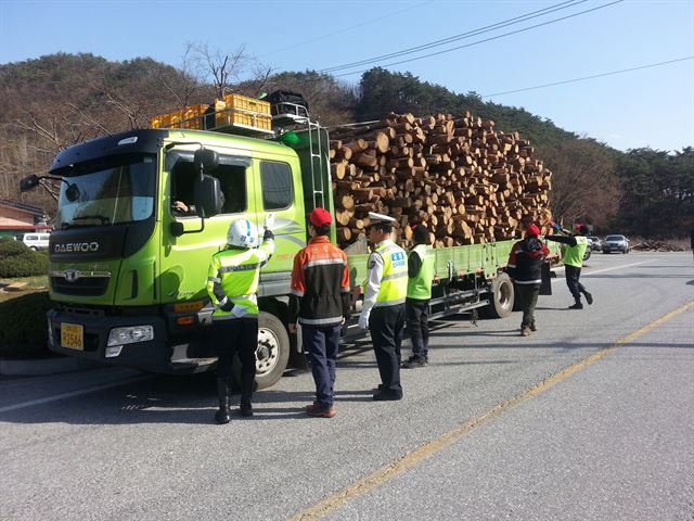 산림청 직원들이 경찰과 함께 소나무재선충병 확산을 막기위해 소나무류 이동 특별단속을 벌이고 있다. 산림청 제공