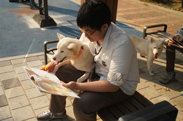 동양고의 유기견 봉사동아리에서 활동하는 학생이 애니멀 아리랑 보호소 개에게 책을 읽어주고 있다. 애니멀아리랑 제공