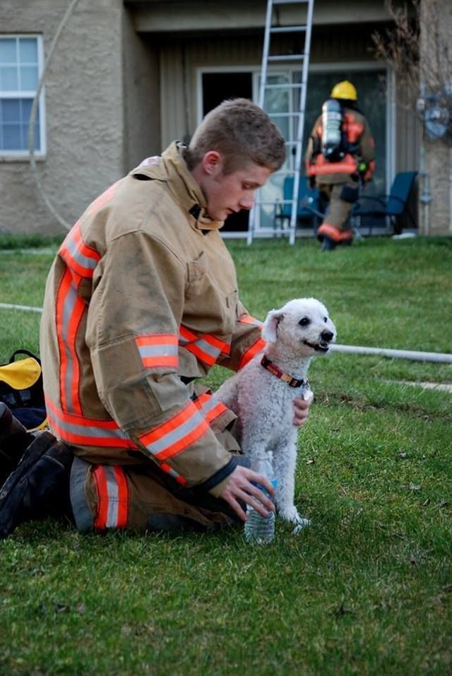 구조된 강아지가 소방관 품에서 미소 짓고 있다. Providence Volunteer Fire Company 페이스북