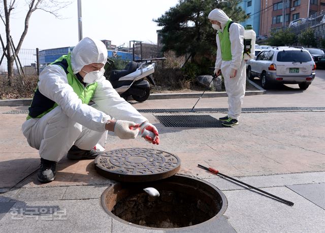 국내에서도 지카바이러스 첫 감염자가 발생한 가운데 23일 오후 서울 성동구 독서당길 대현산체육관 앞 정화조에 성동구청 방역관계자들이 모기유충 구제 및 방역작업을 하고 있다. 홍인기기자 hongik@hankookilbo.com