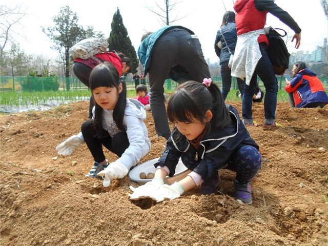 서울 용산구 이촌동 노들섬에 조성된 도시농업공원 노들텃밭에서 지난해 농부학교 프로그램에 참가한 어린이들이 감자를 심고 있다. 서울시 제공