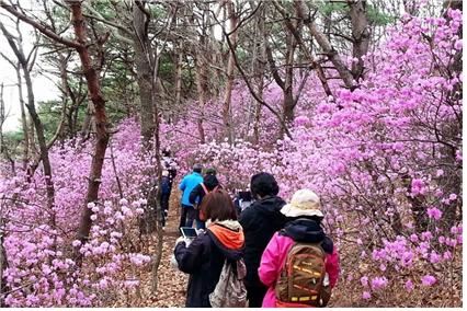 경기 화성시가 지난해 운영한 생태관광 프로그램 ‘소풍’참가자들의 활동 모습. 화성시청 제공