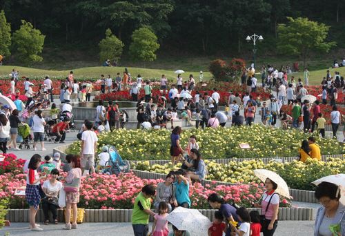 지난해 장미축제 모습. 울산시 제공