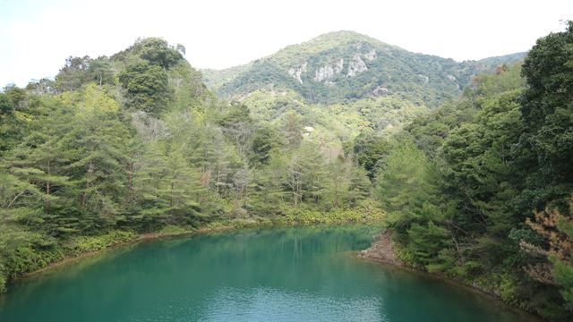 아리타댐에는 산책길을 따라 벚꽃 나무가 늘어서 있다. 매년 3월 말~4월 초가 되면 활짝 핀 벚꽃과 에메랄드 빛 호수가 만들어내는 절경을 즐길 수 있다.