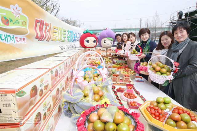 31일 오전 부산 강서체육공원에서 대저농협 관계자들이 대저토마토축제를 알리는 이벤트를 펼치고 있다. 전혜원 기자