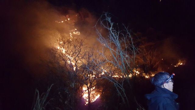 1일 오후 6시16분쯤 충북 단양군 단양읍 천동리 소백산 자락에서 산불이 발생해 소백산국립공원 방향으로 번지고 있다. 단양군은 불이 밤새 꺼지지 않을 경우 날이 밝는 대로 헬기를 투입해 진화할 계획이다. 단양군 제공