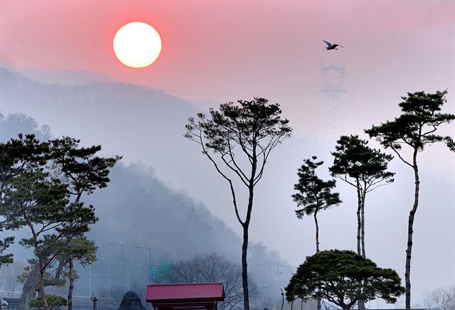 경기도 양평 두물머리에 위치한 세미원 안 세한정에 깊은 어둠을 뚫고 해가 솟아오르고 있다. 추사 김정희가 그린 ‘세한도(歲寒圖)’를 빼닮은 세한정 안쪽으로 김정희를 상징하는 노송과 그에게 끝까지 의리를 지킨 제자를 형상화한 잣나무가 보인다. 왕태석기자 kingwang@hankookilbo.com