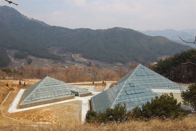 백두대간 수목원 내 고산식물 전용 온실인 알파인하우스.