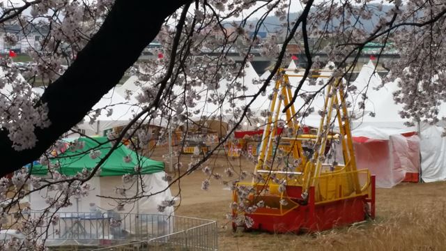 지난 4일 경주시 김유신장군묘 진출입로 흥무로 인근 형산강지류 하천부지를 노점상들이 점령하고 있다.