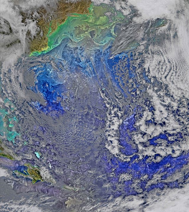 미 항공우주국(NASA)와 미 해양대기청(NOAA)의 지구 관측 위성인 수오미 NPP(Suomi NPP)에 탑재된 가시적외선이미지센서(VIIRS)로 지난 3월 9일(현지시간) 촬영해 5일(현지시간) 공개한 위성사진으로 북대서양 서부의 바다에서 왕성하게 번식 중인 식물성 플랑크톤과 해류가 마치 물감을 풀어놓은 듯하다. NASA NOAA 로이터 뉴스1