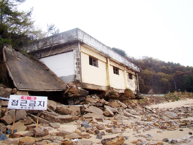 너비 50m가 넘는 백사장에서 주민들이 축구를 하던 경북 영덕군 축산면 경정리 해안. 최근 해안침식으로 옛 축양장 건물 기초가 허물어졌고 고운 모래사장이 있던 곳은 시커먼 바위가 드러나 있다. 김정혜기자 kjh@hankookilbo.com