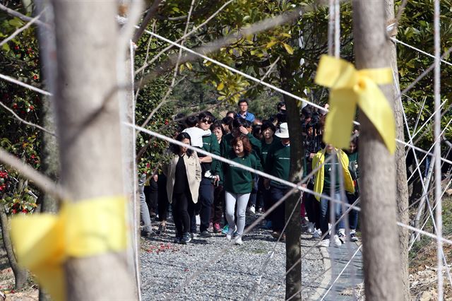 지난 9일 오후 전남 진도군 임회면 무궁화동산에서 열린 세월호 기억의 숲 완공식을 찾은 세월호 가족들이 숲을 향해 걸어가고 있다. 연합뉴스.