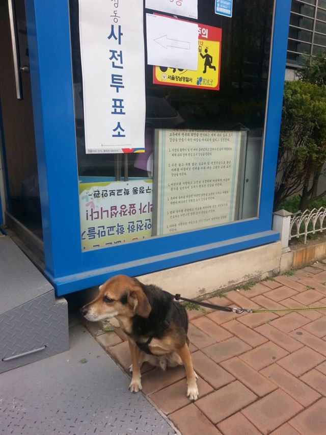 이형주 제공