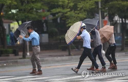 주말에 불어닥친 강풍으로 충청지역 곳곳에서 가로수가 쓰러지고 비닐하우스가 날아가는 등곳곳에서 피해를 입었다. 연합뉴스