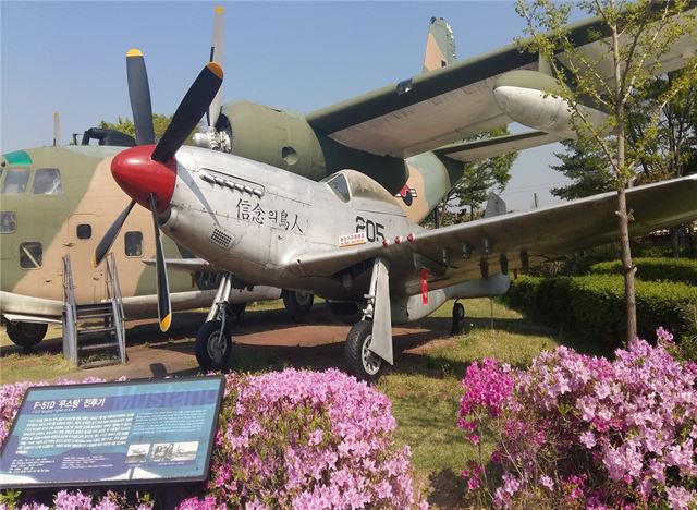 1950년 대한민국 최초로 도입해 6ㆍ25당시 활약한 무스탕 전투기. ‘빨간 마후라’의 기원이다. 경기도 제공