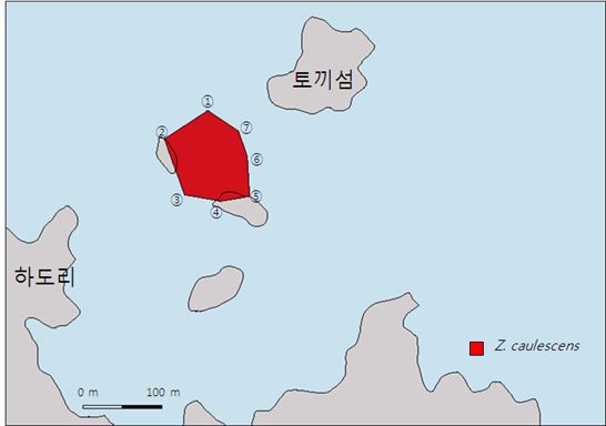 제주 토끼섬 주변 거머리말 서식지(빨간색 표시 구역). 제주도 제공.