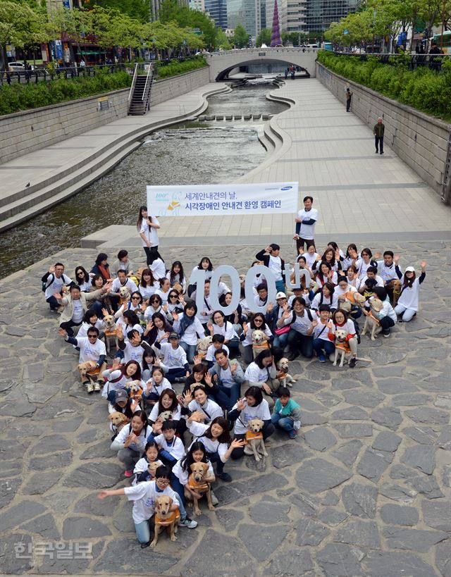 [저작권 한국일보]27일 세계 안내견의 날 25주년을 맞아 서울 청계광장에서 열린 ‘세계 안내견과의 만남 ’ 행사에서 자원봉사자와 에버랜드가 운영하는 삼성화재안내견학교 소속 안내견과 함께 행진후 기념 촬영을 하고 있다. 삼성화재안내견학교는 1916년 세계 첫 안내견 탄생 100주년을 맞아 이날 행사를 개최했다. 2016.04.27. 신상순 선임기자ssshin@hankookilbo.com /2016-04-27(한국일보)