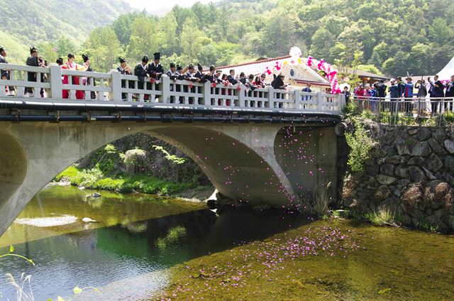 지난해 열린 수달래축제 때 축제 참가자들이 수달래 꽃잎을 하천에 흩뿌리고 있다. 청송군 제공