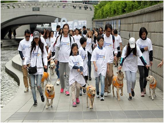 27일 서울 청계광장에서 세계 안내견의 날을 맞아 자원봉사자, 훈련사들이 안내견 후보견, 은퇴한 안내견들과 함께 청계천을 걷고 있다. 삼성화재 안내견학교 제공