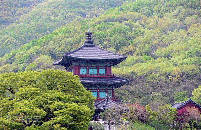 보탑사 통일대탑은 국내에서 유일하게 3층까지 올라갈 수 있게 만든 목탑이다. 우리시대 문화재급 한옥전문가들의 기술력이 응축된 작품이다. 진천=최흥수기자 choissoo@hankookilbo.com