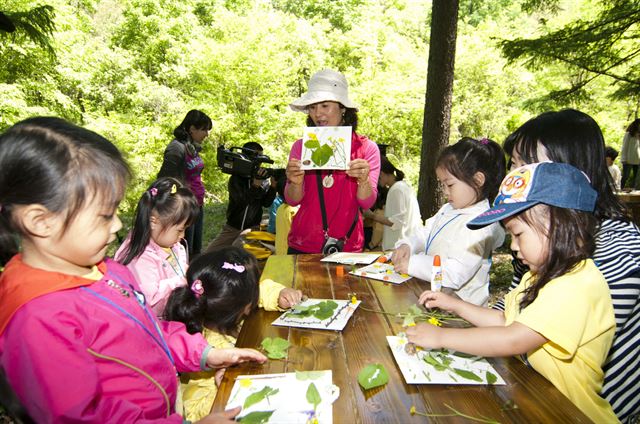 경북 청송군 부남면 자연휴양림에 위치한 '유아 숲 체험장'이 유아들에게 큰 인기를 얻고 있다. 청송군 제공