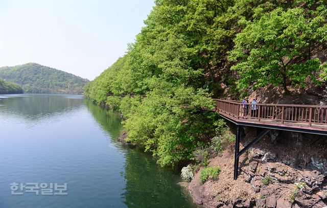 수변데크로 연결한 초롱길. 상수리나무가 터널을 이뤄 그늘이 시원하다.