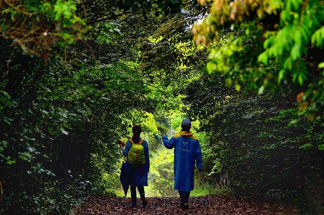 원시림을 연상케 하는 숲길을 거닐고 있는 두 사람의 모습이 아름답다. 한 사람은 혼자 제주도를 찾은 여행객이고 다른 한 명은 숲 해설가다. 숲에서 길을 잃고 당황한 나에게 길을 찾아준 소중한 인연이었다. 제주=왕태석기자 kingwang@hankookilbo.com