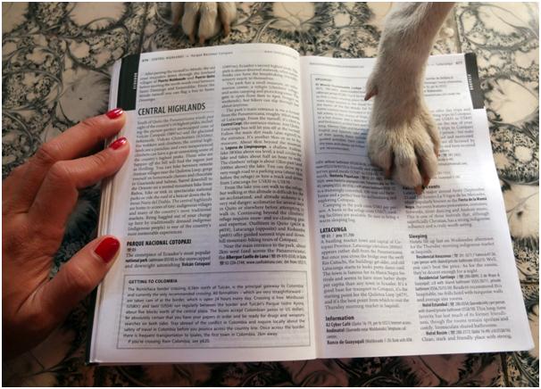 동물 비애호가도 사랑에 빠지는 개와 고양이, 거북이가 수호신으로 살고 있다.