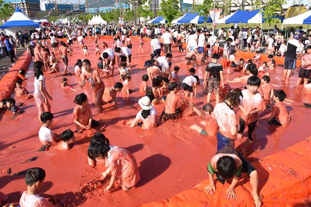 지난해 열린 달성 토마토 축제에서 시민들이 토마토 속에서 경품찾기를 하고 있다. 달성군 제공