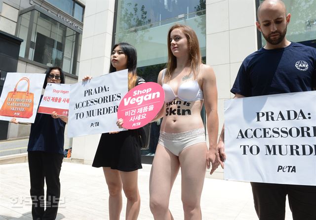 [저작권 한국일보]25일 서울 청담동 프라다 매장앞에서 속옷만 입은 반나체 여성시위자가 동물단체 케어 활동가 들과 함께 프라다 타조 가방에 반대하는 '가죽도 피부다 (Skin is skin)'라는 문구를 몸에 쓰고 반나체시위를 벌이고 있다..2016 05.25 신상순 선임기자ssshin@hankookilbo.com /2016-05-25(한국일보)