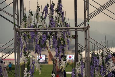 [저작권 한국일보]광화문 통일 바람회 상징 등나무 꽃터널. 2016.05.26 신상순 선임기자ssshin@hankookilbo.co