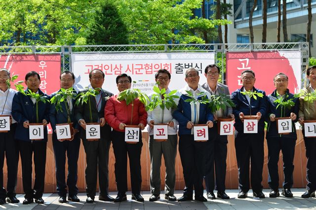 인삼주산지 16개 시군이 인삼 종주국 위상회복을 위해 고려인삼 주산지 시군협의회를 결성했다. 영주시 제공