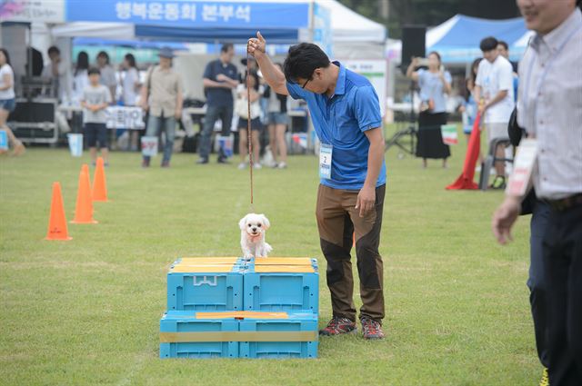 세종시 연동면 미래엔 교과서박물관 일원에서 4일 열린 제2회 세종 반려동물 문화축제. 세종시 제공